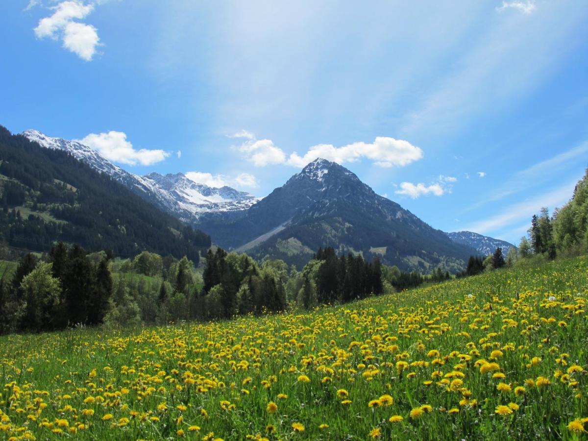 Hornblick Fewo- Ab Mai Freie Fahrt Mit Bergbahnen 오버스트도르프 외부 사진